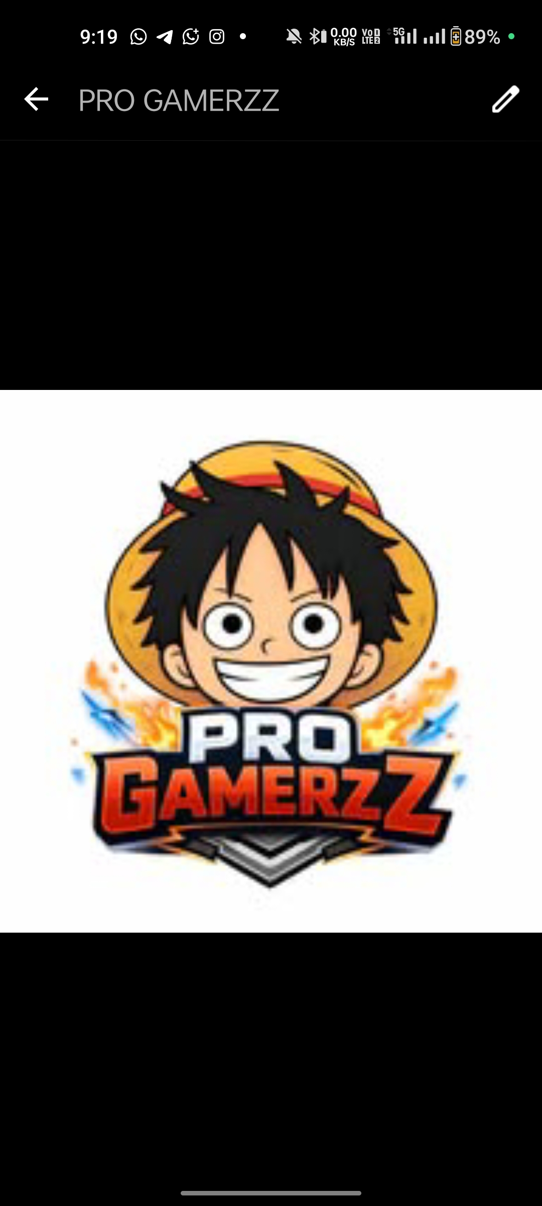 PRO GAMERZZ 